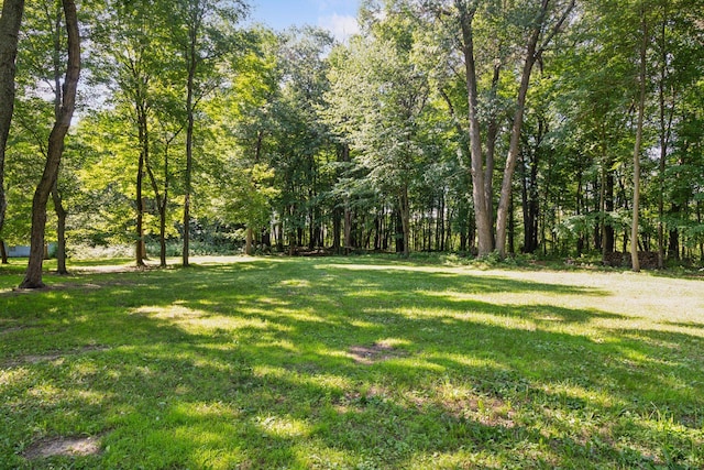 16059 Kettle River Blvd NE, Columbus, MN 55025 - view of green lawn with a forest view