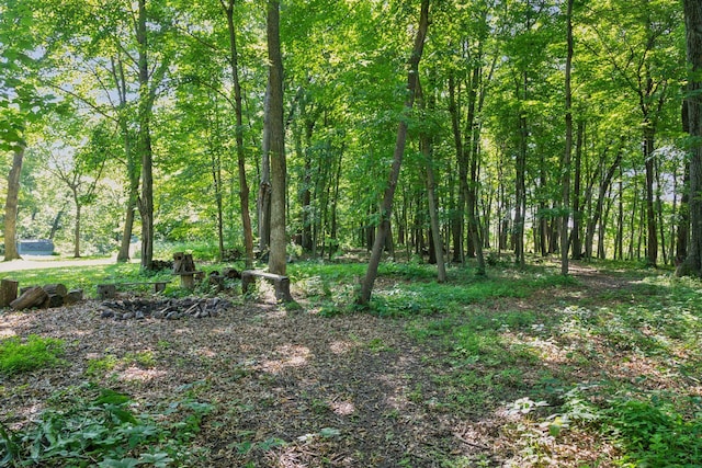 16059 Kettle River Blvd NE, Columbus, MN 55025 - view of wooded area