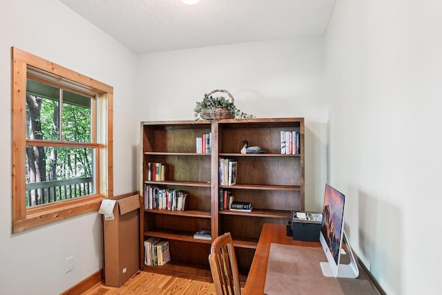 31338 Oasis Rd, Center City, MN 55012 - home office featuring wood finished floors and a textured ceiling
