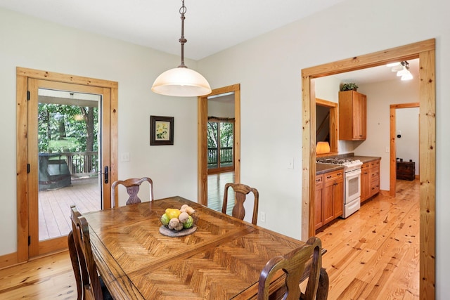 31338 Oasis Rd, Center City, MN 55012 - dining room with light wood-type flooring and healthy amount of natural light
