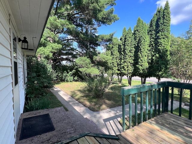 311 Bemidji Rd NW, Turtle River, MN 56601 - photo 3