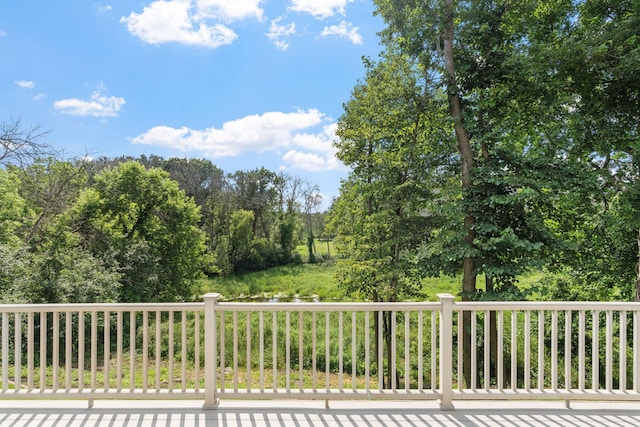 481 Peavey Ln, Wayzata, MN 55391 - photo 8