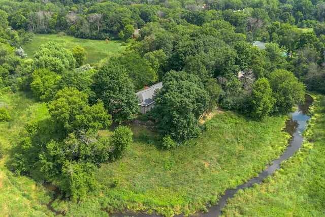 481 Peavey Ln, Wayzata, MN 55391 - photo 63