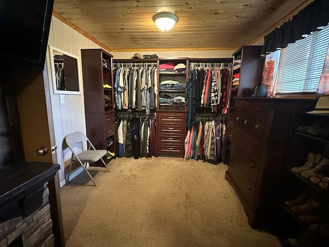 406 State 6 S, Remer, MN 56672 - walk in closet with carpet