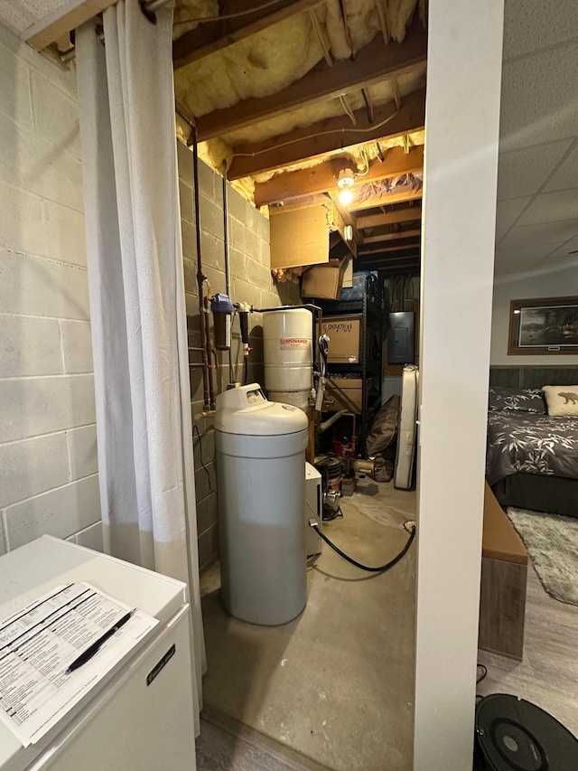 406 State 6 S, Remer, MN 56672 - unfinished below grade area with electric panel and a water softener