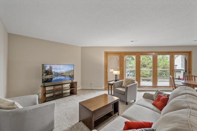 14575 Burma Ave W Unit 205, Rosemount, MN 55068 - living room with a baseboard radiator, carpet flooring, and a textured ceiling