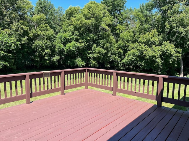 204 Washington St N, Saint Leo, MN 56264 - photo 7