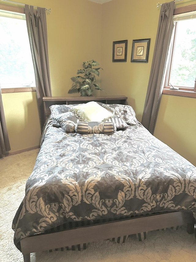 204 Washington St N, Saint Leo, MN 56264 - photo 9