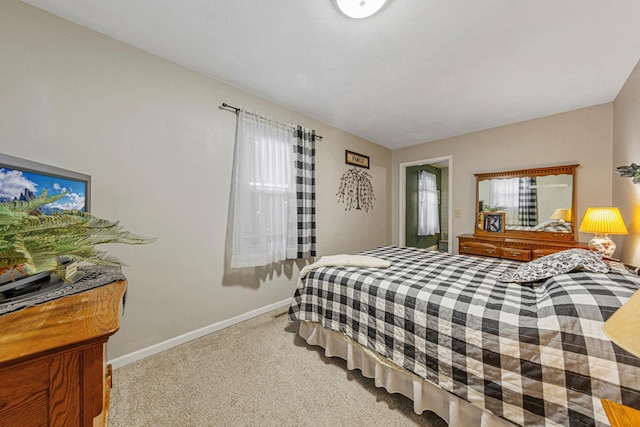 725 Francis St, Faribault, MN 55021 - photo 19