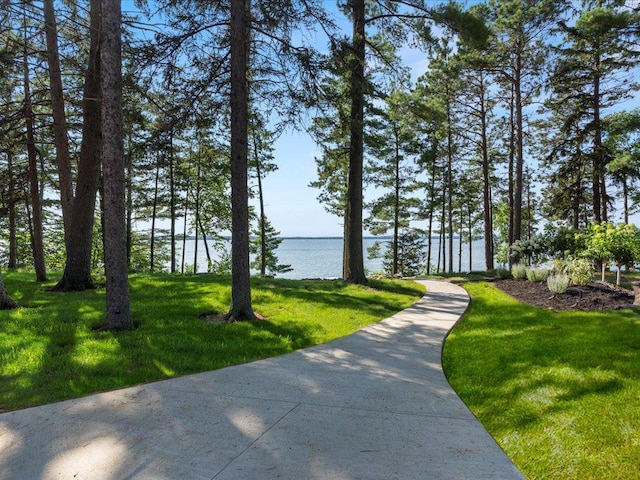 4354 Mission Rd, Nisswa, MN 56468 - photo 11