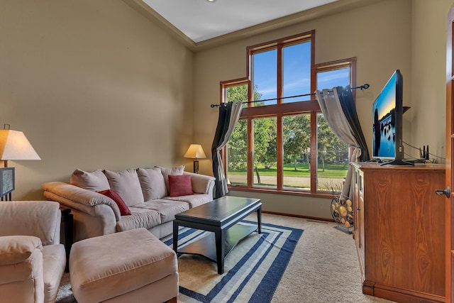 2161 Mill Pond Dr, Saint Cloud, MN 56303 - photo 10