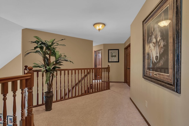 2161 Mill Pond Dr, Saint Cloud, MN 56303 - photo 33