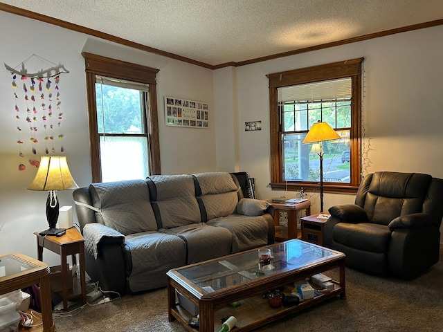 1636 Minnehaha Ave W, Saint Paul, MN 55104 - living room featuring carpet floors, healthy amount of natural light, crown molding, and a textured ceiling