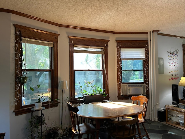 1636 Minnehaha Ave W, Saint Paul, MN 55104 - dining room with ornamental molding, a textured ceiling, and cooling unit