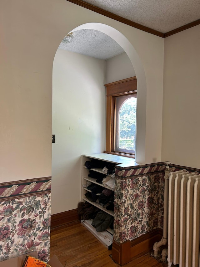 1636 Minnehaha Ave W, Saint Paul, MN 55104 - detailed view of radiator heating unit, arched walkways, a textured ceiling, wood finished floors, and ornamental molding