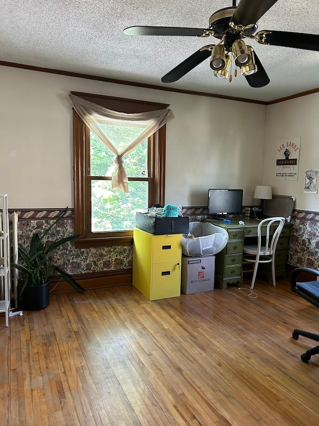 1636 Minnehaha Ave W, Saint Paul, MN 55104 - office area with a textured ceiling, ceiling fan, ornamental molding, and light wood-type flooring