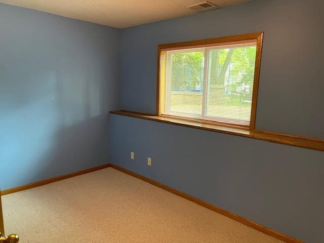 13374 Zachman Dr, Rogers, MN 55374 - photo 26