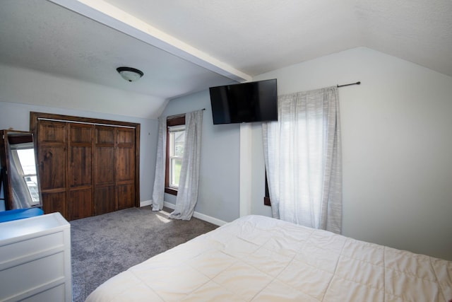 517 Elm St, Mankato, MN 56001 - bedroom featuring lofted ceiling, carpet, and a closet