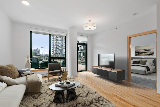 1240 2nd St Unit 225, Minneapolis, MN 55415 - living room with light wood-style floors