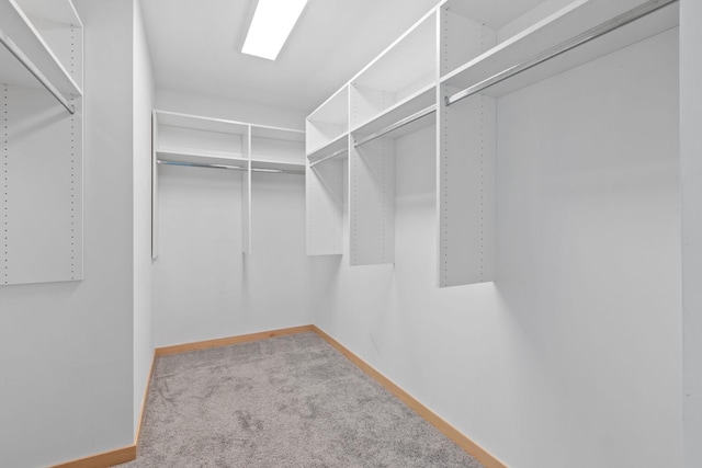 1240 2nd St Unit 225, Minneapolis, MN 55415 - walk in closet with carpet floors