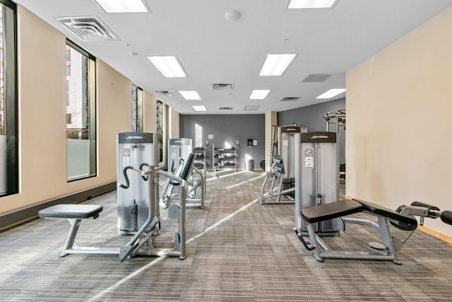 1240 2nd St Unit 225, Minneapolis, MN 55415 - exercise room with carpet flooring