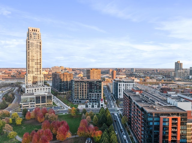1240 2nd St Unit 225, Minneapolis, MN 55415 - view of city