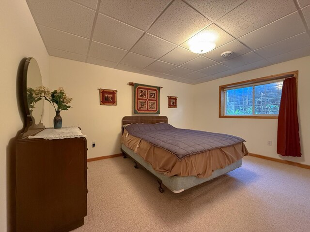 407 Cedar Ct NE, Pine Island, MN 55963 - photo 13