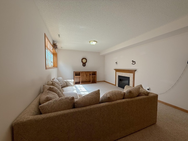 407 Cedar Ct NE, Pine Island, MN 55963 - photo 16