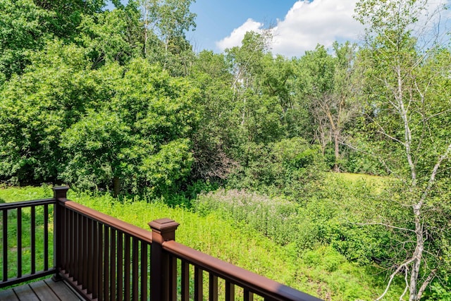 15600 26th Ave N Unit C, Plymouth, MN 55447 - photo 17