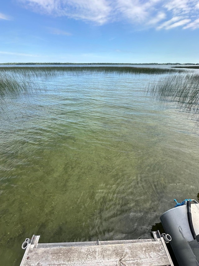 7443 Walleye Ln SW, Alexandria, MN 56308 - water view