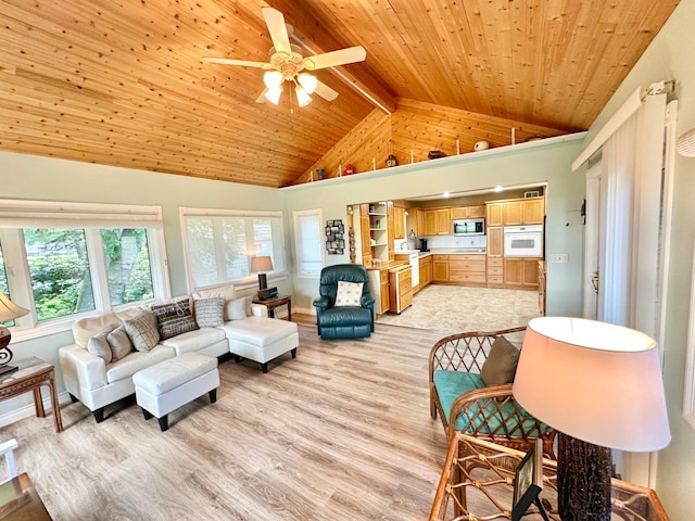 7443 Walleye Ln SW, Alexandria, MN 56308 - photo 22