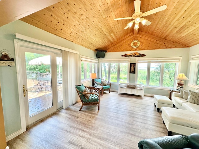 7443 Walleye Ln SW, Alexandria, MN 56308 - photo 23
