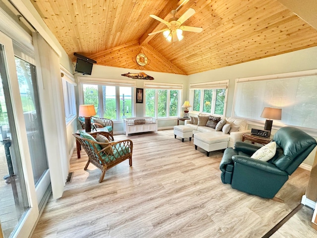 7443 Walleye Ln SW, Alexandria, MN 56308 - photo 24