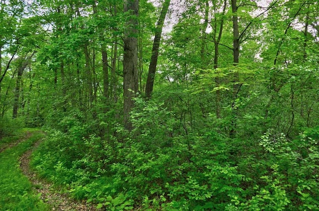 1159 65th Ave, Lincoln Twp, WI 54001
