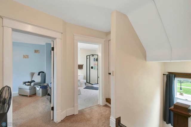 51 6th Ave N, Fargo, ND 58102 - corridor with light colored carpet and baseboards