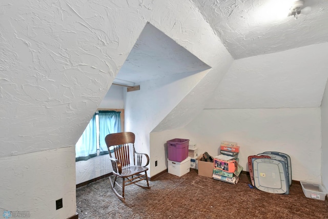 51 6th Ave N, Fargo, ND 58102 - additional living space with lofted ceiling, a textured ceiling, and carpet flooring
