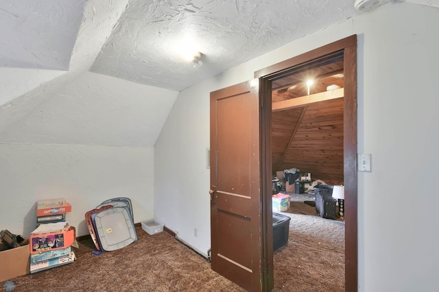 51 6th Ave N, Fargo, ND 58102 - additional living space featuring carpet flooring, vaulted ceiling, and a textured ceiling