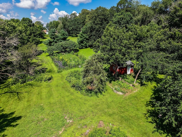 415 Minnesota Ave S, Oronoco, MN 55960 - view of subject property