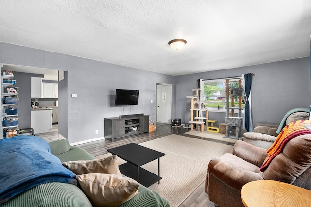 400 Mill St, Loyal, WI 54446 - living area featuring light wood-style floors and a textured ceiling