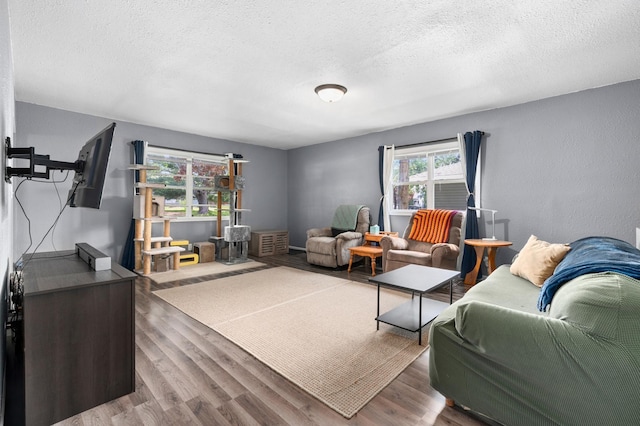 400 Mill St, Loyal, WI 54446 - living room featuring a textured ceiling and wood finished floors