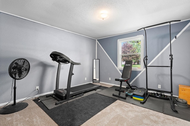 400 Mill St, Loyal, WI 54446 - workout room featuring a textured ceiling and baseboards