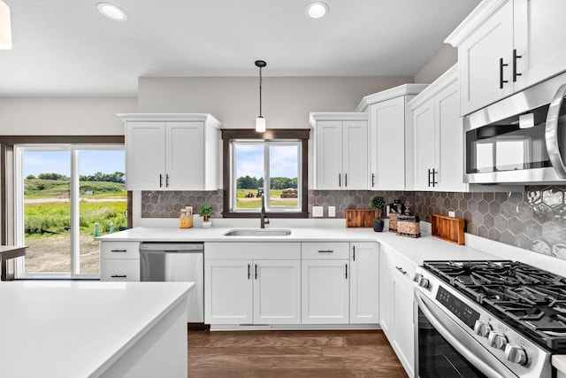 629 Sierra Pkwy, Waconia, MN 55387 - photo 8