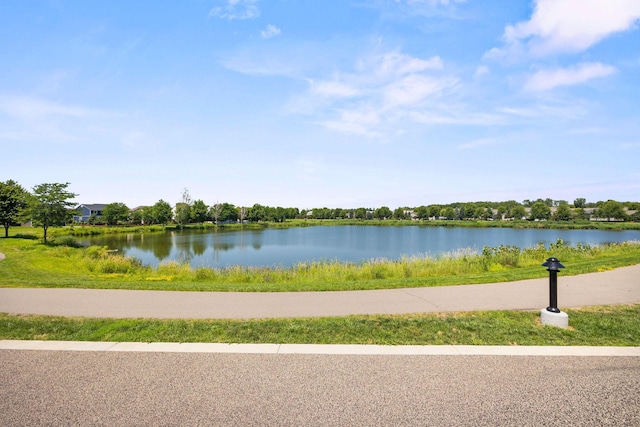 629 Sierra Pkwy, Waconia, MN 55387 - photo 32