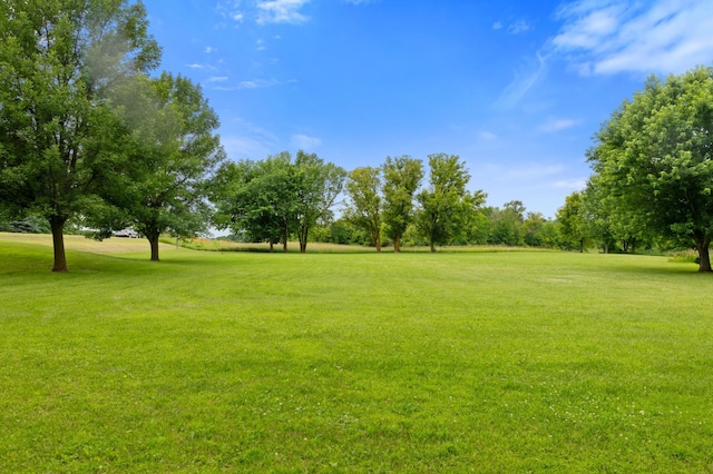 9691 Kadler Ave NE, Otsego, MN 55362 - view of grassy yard