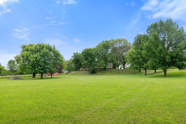 9691 Kadler Ave NE, Otsego, MN 55362 - view of grassy yard