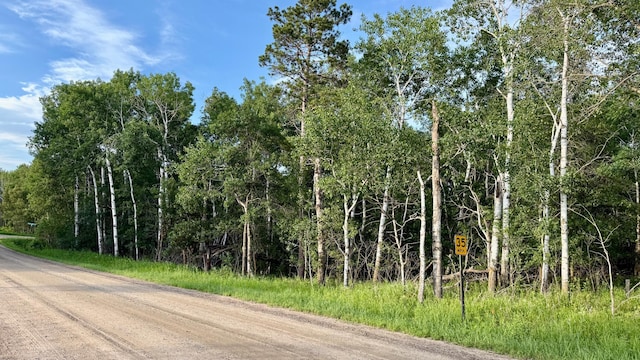 TBD Holly Rd, Park Rapids, MN 56470