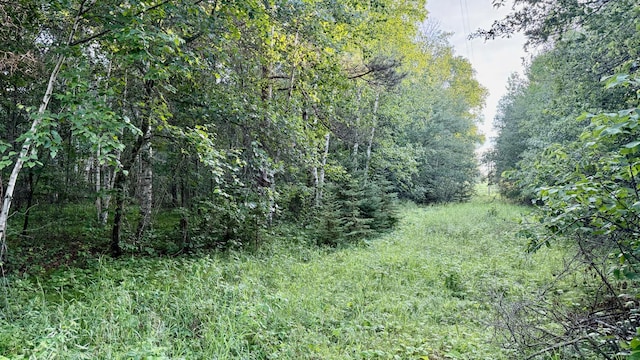 TBD Holly Rd, Park Rapids, MN 56470