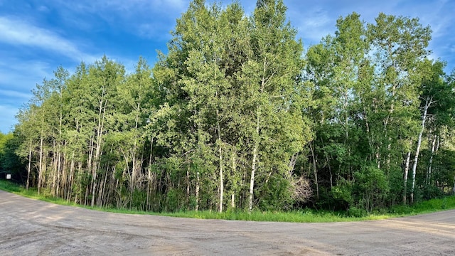 TBD Holly Rd, Park Rapids, MN 56470