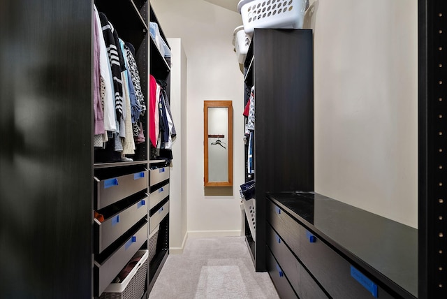 4407 Curve Ave, Edina, MN 55424 - spacious closet with light carpet
