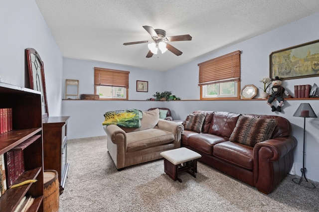 806 Cummings Ln, Saint Cloud, MN 56301 - photo 22